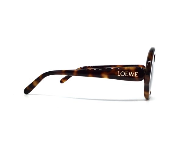 Occhiali da Sole Loewe Ottica Visiva