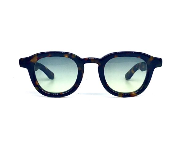 Moscot Sun Dahven tortoise forest wood
