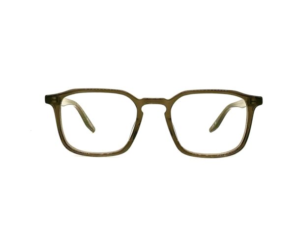 Barton Perreira Raymond DUS