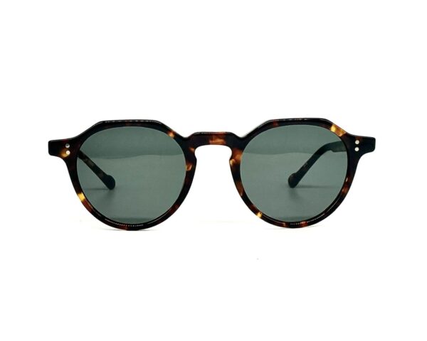 Eyevan Sun Attache E TORT green