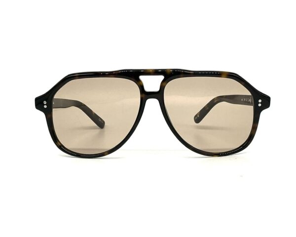 Chimi Sally terra tortoise